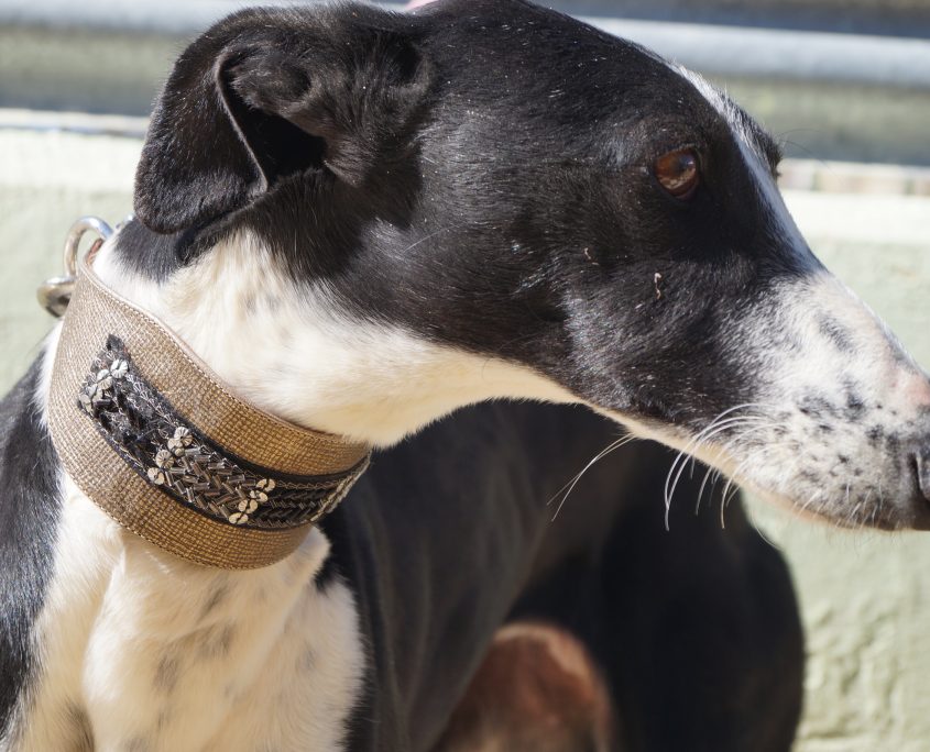 P180222_01 CAROL H3 (1)