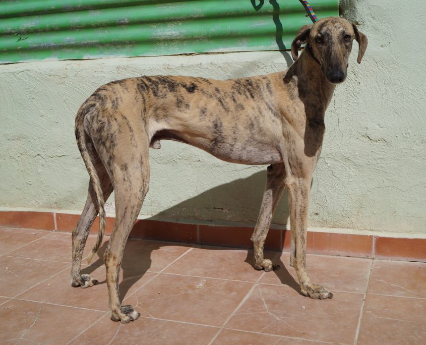 p180312_02 safari m2 (3)