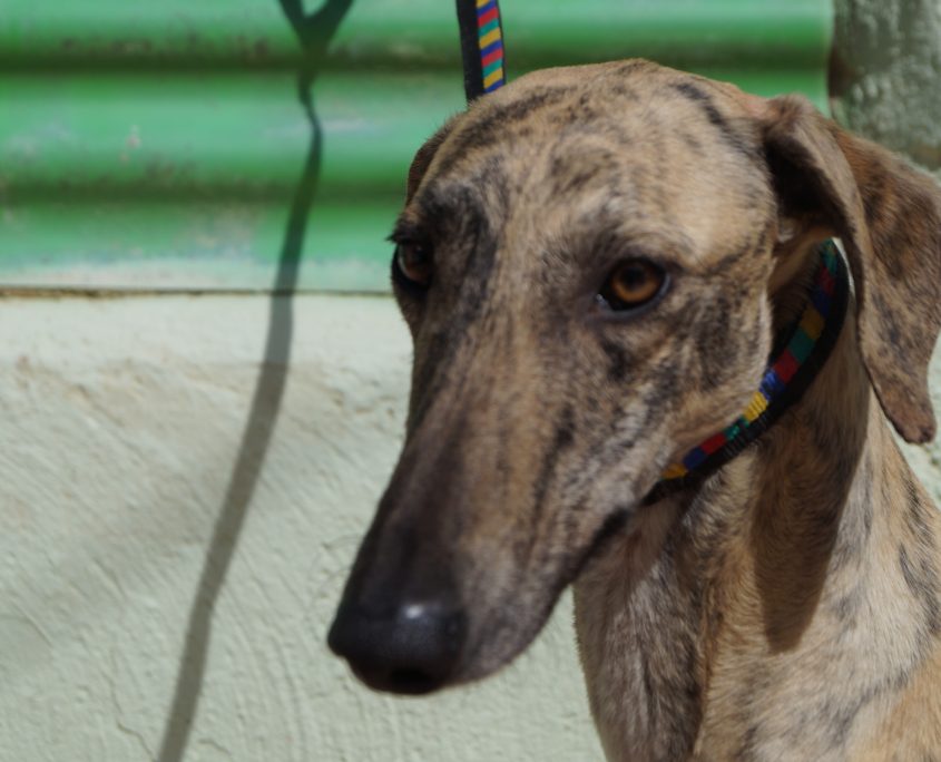 p180312_02 safari m2 (5)