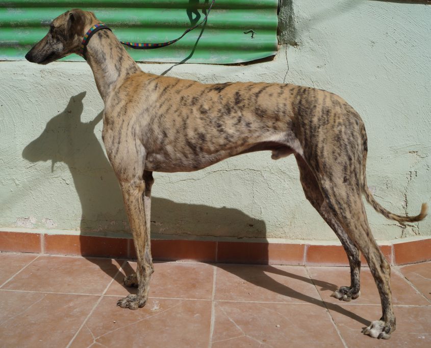 p180312_02 safari m2 (7)