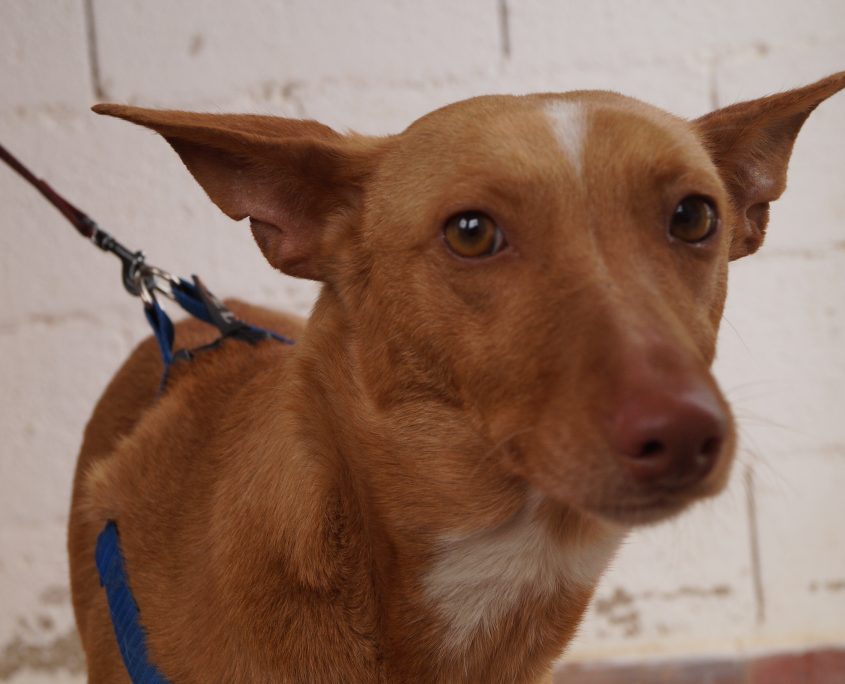 p180317_01 sandy h2 (1)