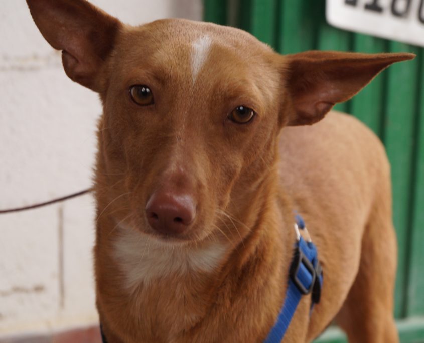 p180317_01 sandy h2 (4)