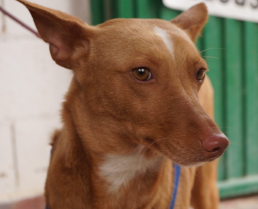 p180317_01 sandy h2 (5)