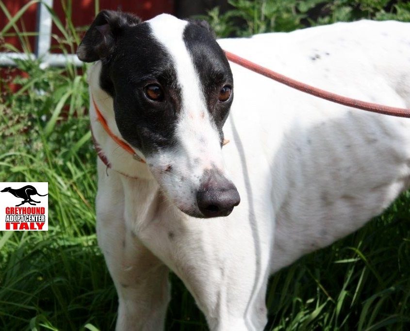 CHAMP- 01-05-2014 - M (1)