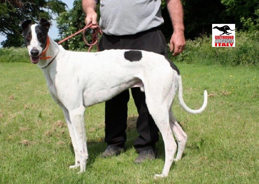 CHAMP- 01-05-2014 - M (2)