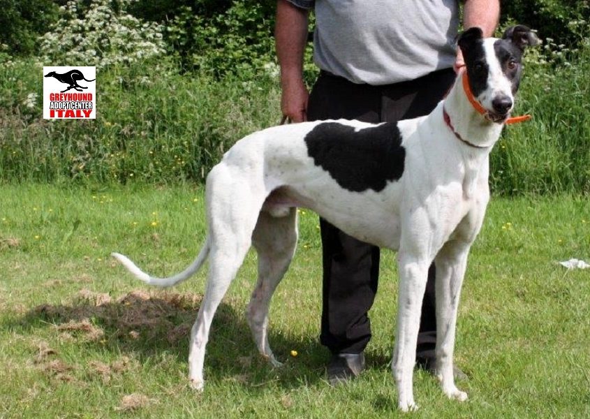 CHAMP- 01-05-2014 - M (3)