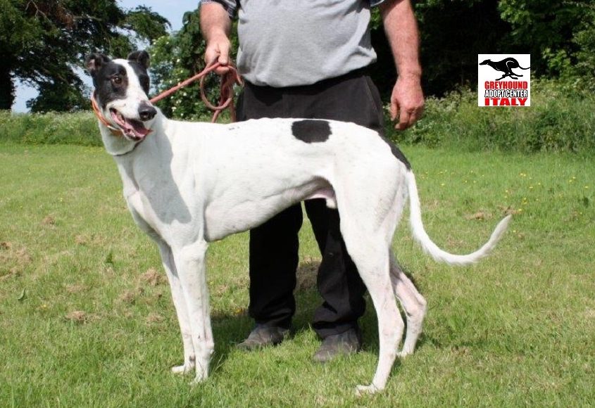 CHAMP- 01-05-2014 - M (5)