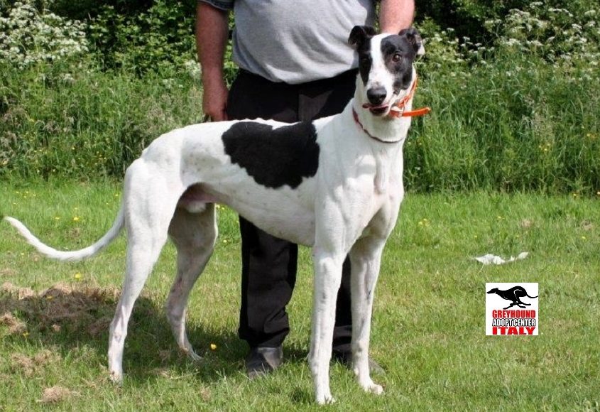 CHAMP- 01-05-2014 - M (8)