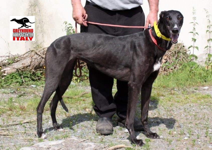 EMILY- 17-06-2014-F (5)