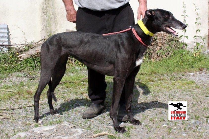 EMILY- 17-06-2014-F (7)