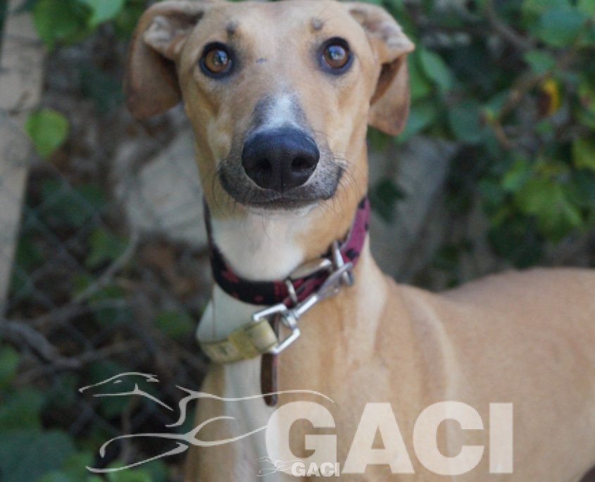 FLASH NUEVAS FOTOS (4)