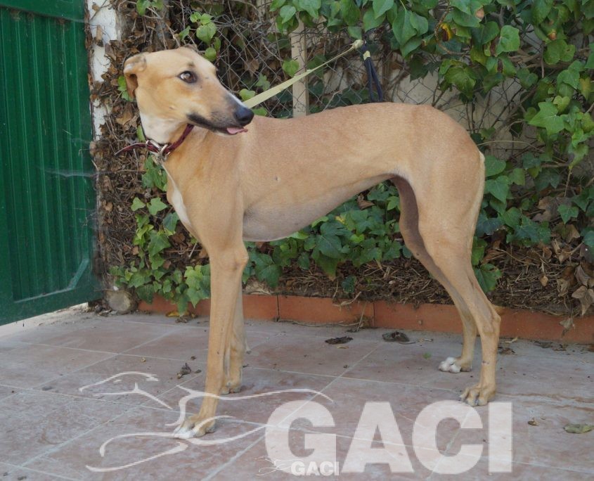 FLASH NUEVAS FOTOS (7)