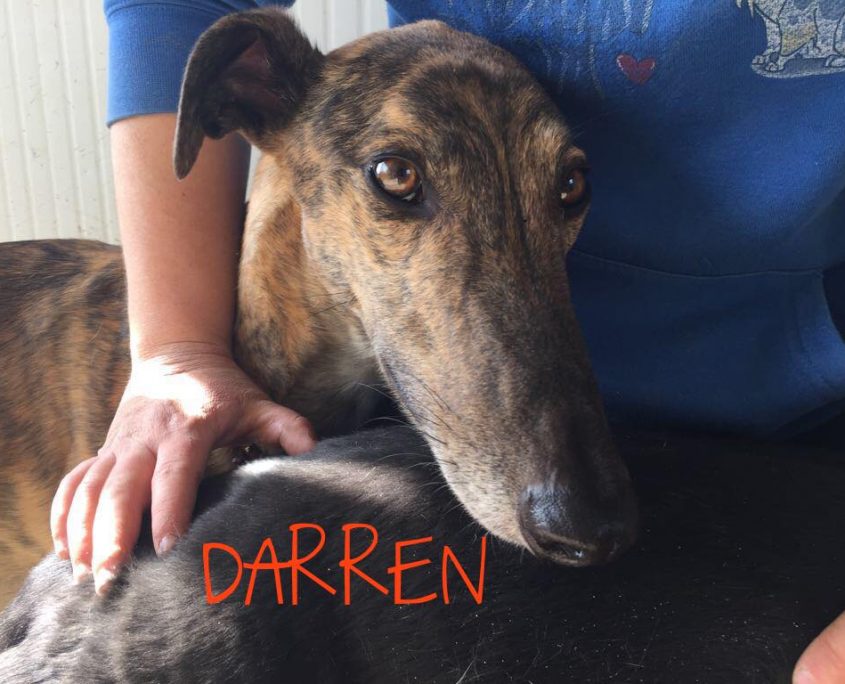 37179914_2462411390439594_6040875663647309824_o