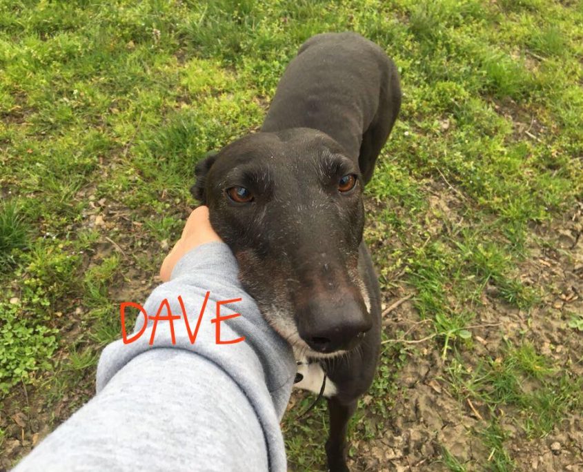 37181342_2462411363772930_3732436574336450560_o