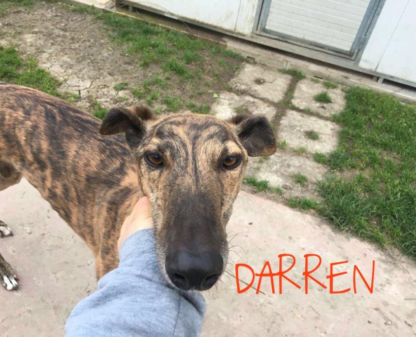 37192313_2462411473772919_6688832576158695424_o