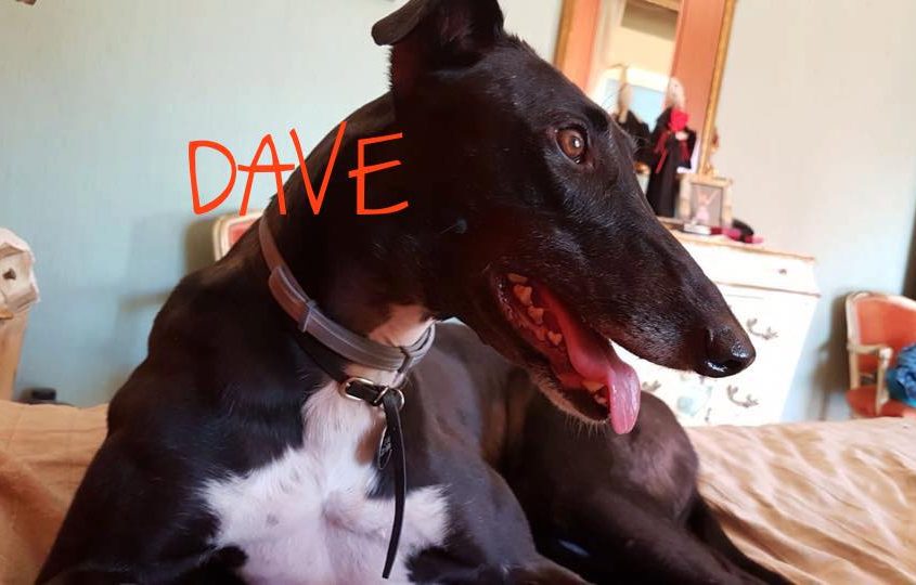 37332730_2462411373772929_1708585617241145344_n