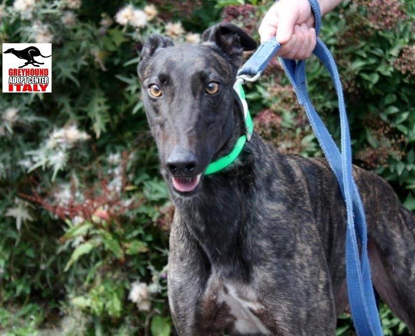 CASH- 01-01-2016- M (2)