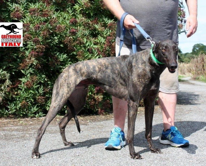 CASH- 01-01-2016- M (7)