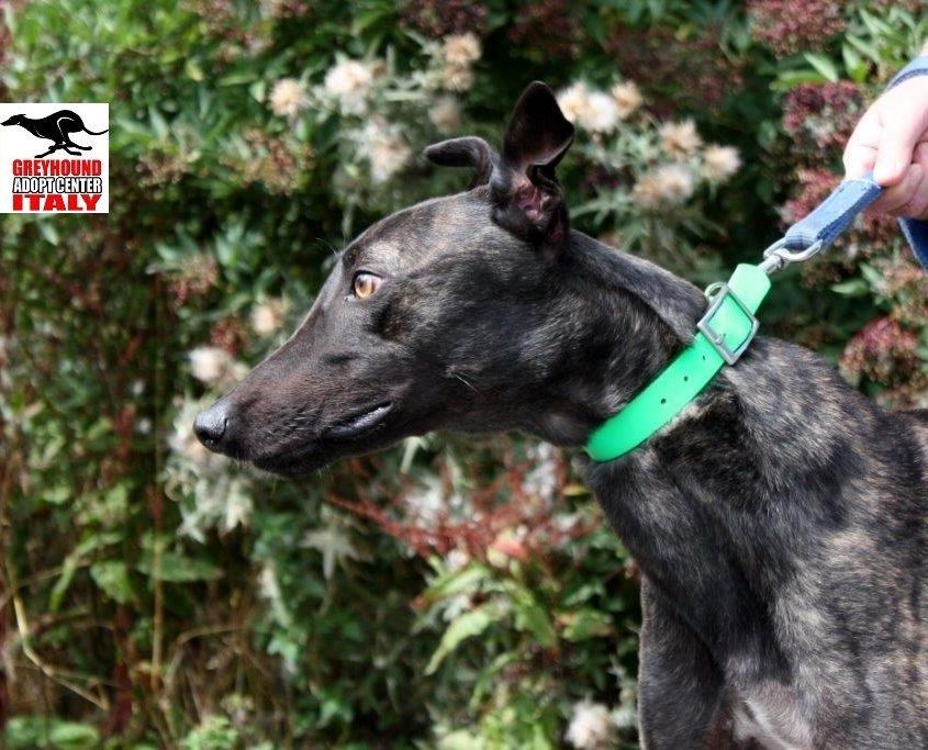 CASH- 01-01-2016- M (8)