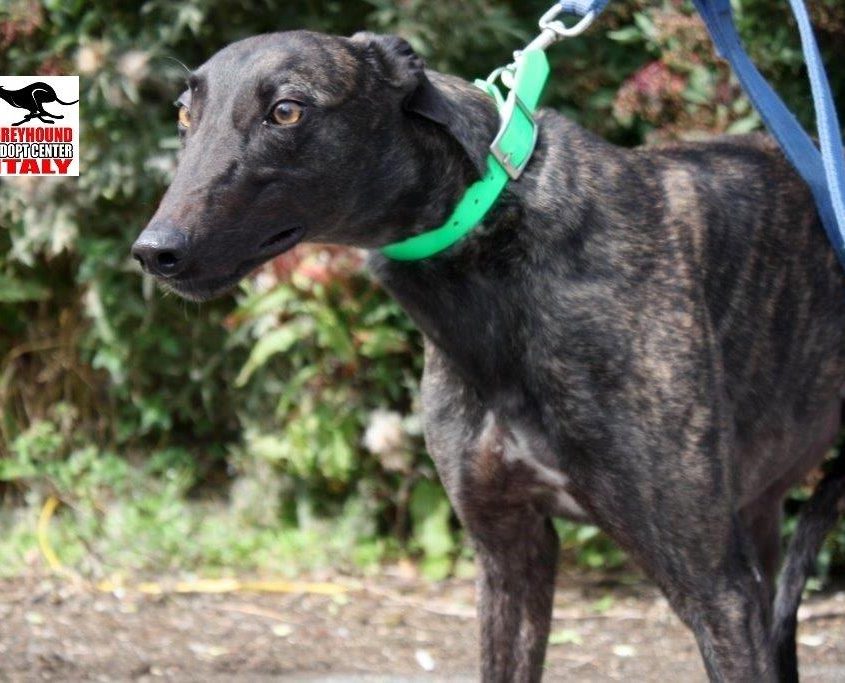 CASH- 01-01-2016- M (9)