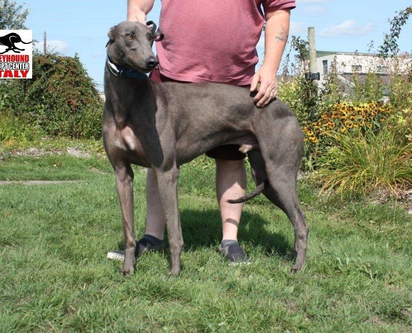 HERO - 11-09-2013 - M (3)