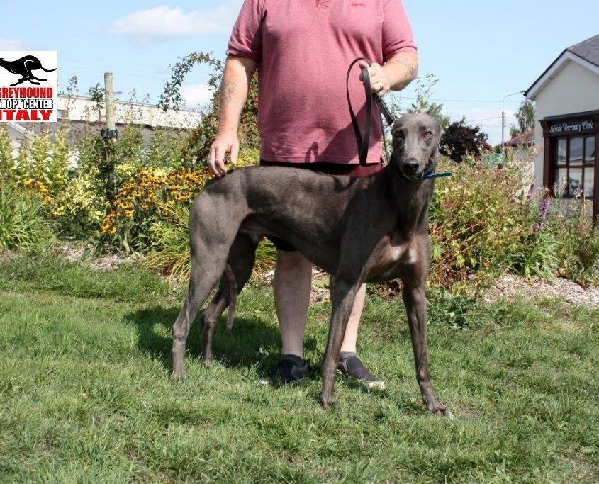 HERO - 11-09-2013 - M (4)