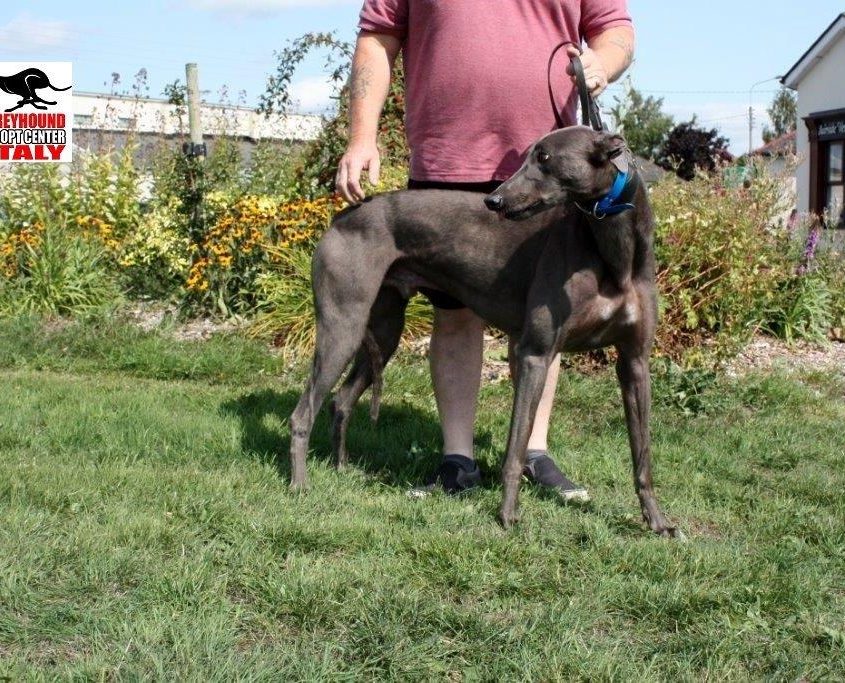 HERO - 11-09-2013 - M (7)