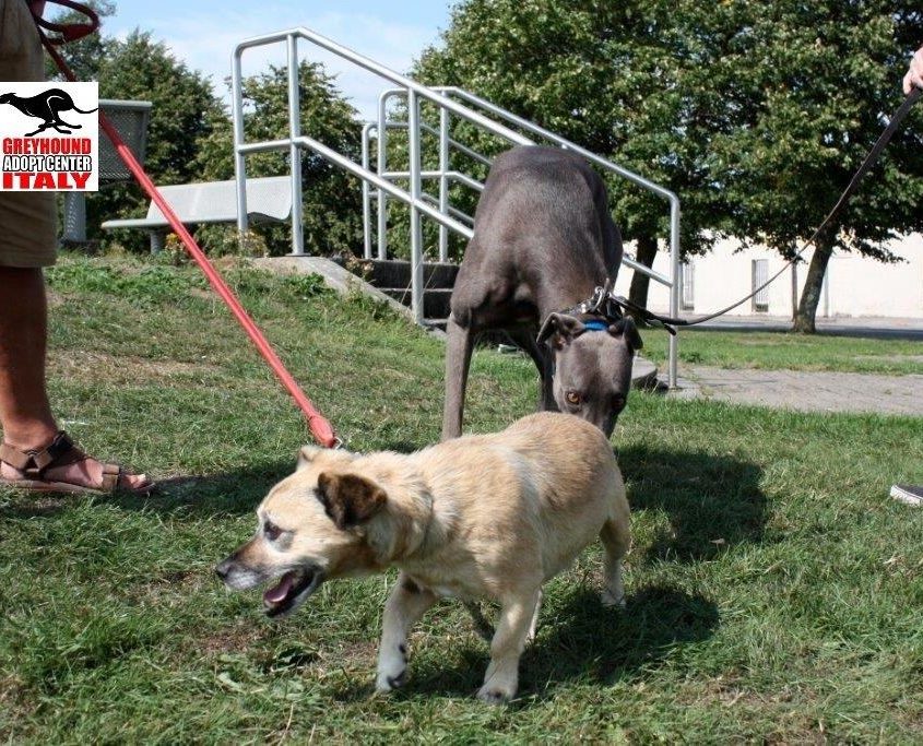 HERO - 11-09-2013 - M (8)