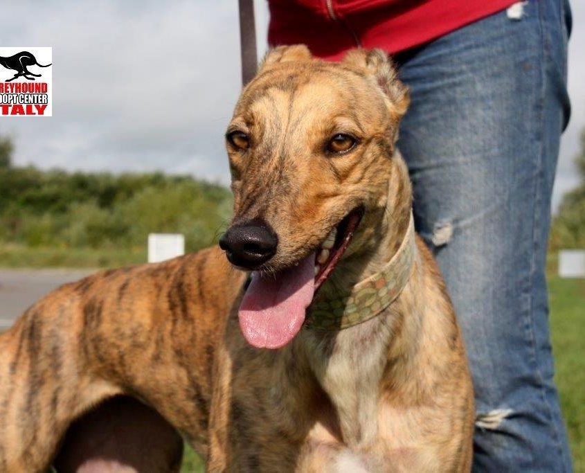 MILEY - 30-04-2016 - F (2)