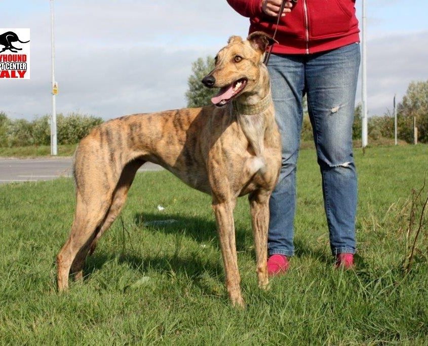 MILEY - 30-04-2016 - F (3)