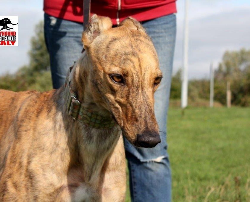 MILEY - 30-04-2016 - F (4)