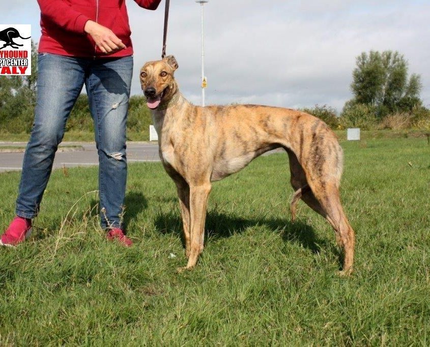 MILEY - 30-04-2016 - F (5)