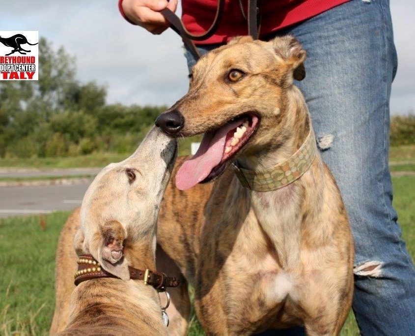 MILEY - 30-04-2016 - F (6)