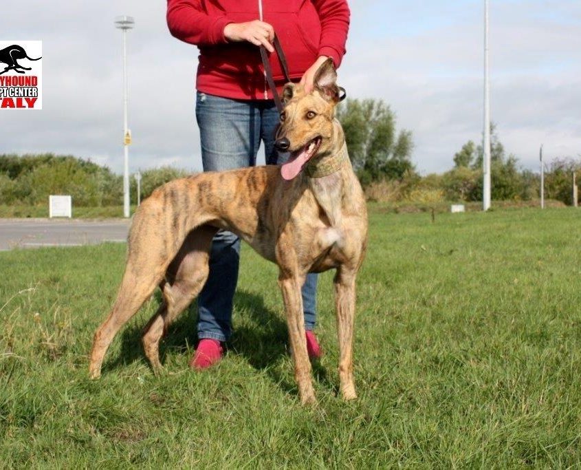 MILEY - 30-04-2016 - F (7)