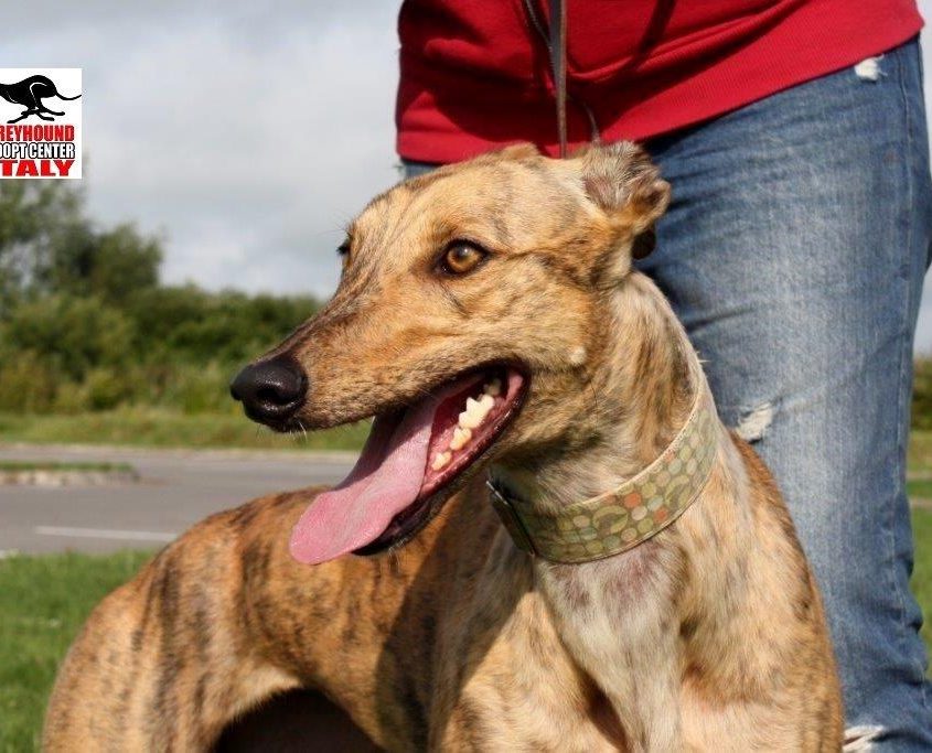 MILEY - 30-04-2016 - F (8)