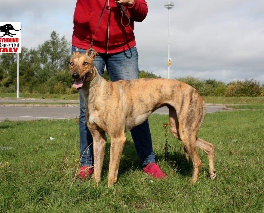 MILEY - 30-04-2016 - F (9)