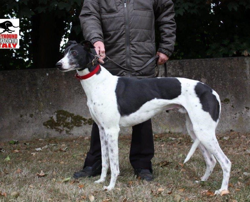 MISSOURI - 28-01-2014 - M (3)