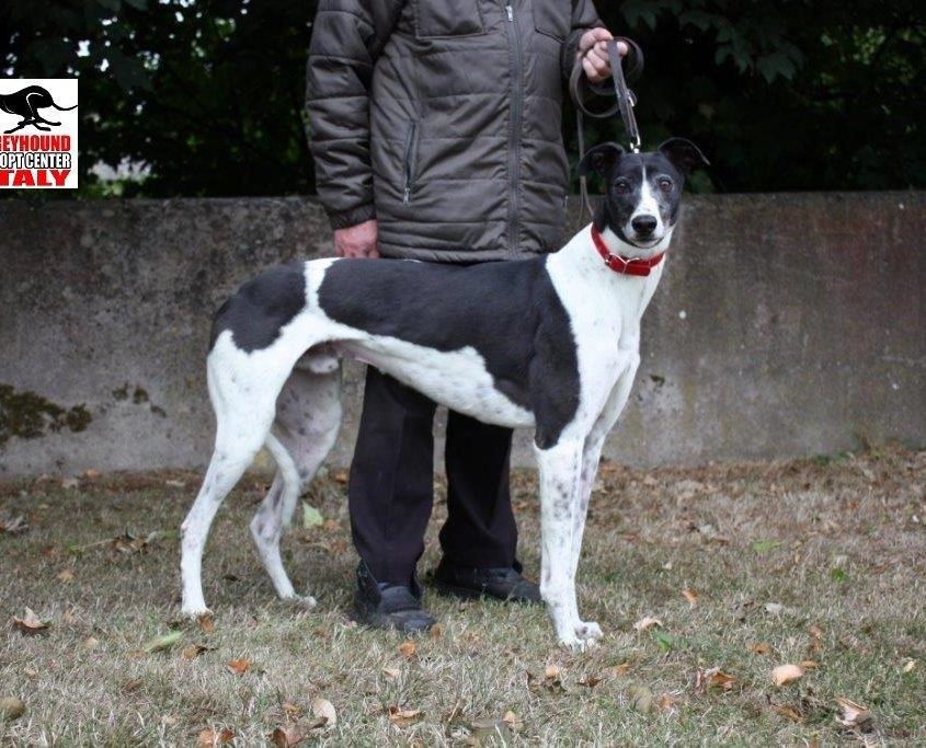 MISSOURI - 28-01-2014 - M (7)