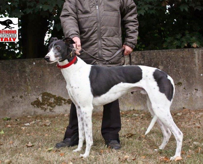 MISSOURI - 28-01-2014 - M (9)