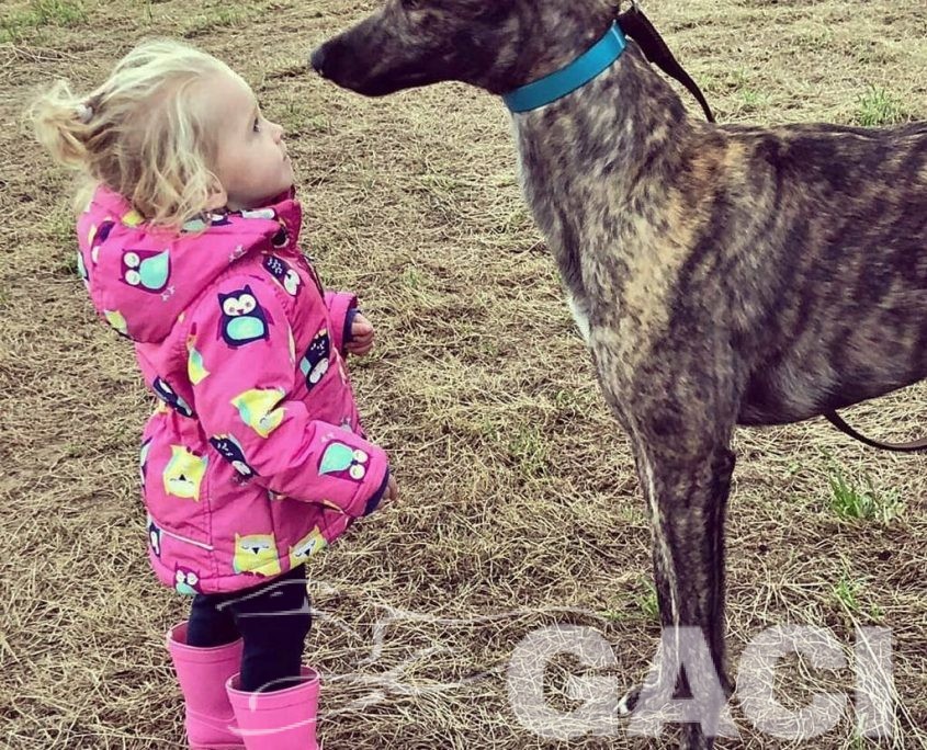 10 JETSKY - 14-10-2016 -M