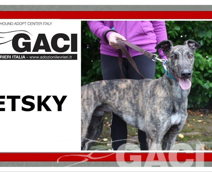 11 JETSKY - 14-10-2016 -M