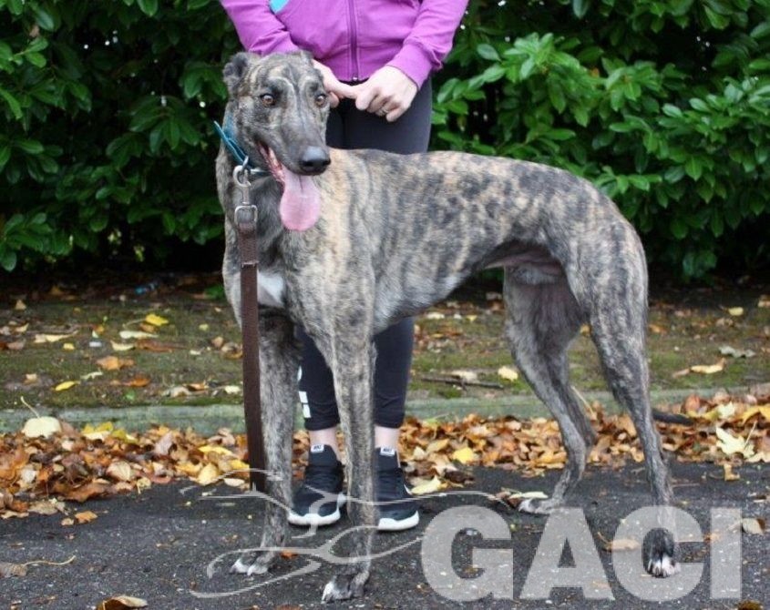 2 JETSKY - 14-10-2016 -M