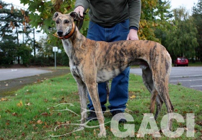 2 RIO - 11-06-2015- M