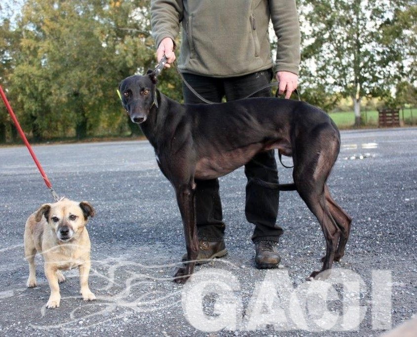 3 CABAYE - 16-07-2015 -M