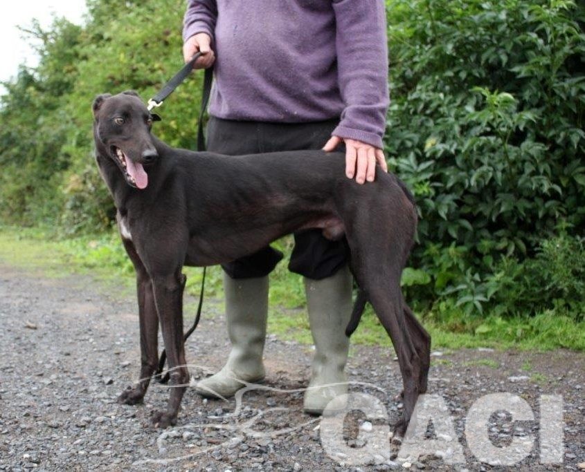 (3) FANCY - 12-06-2014 - M