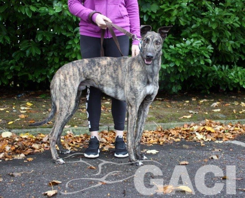 3 JETSKY - 14-10-2016 -M