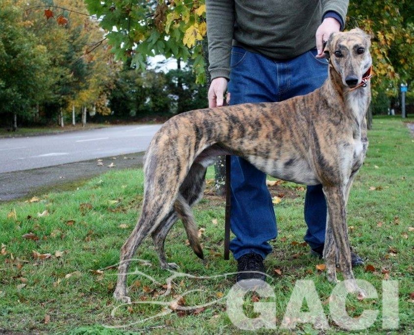 3 RIO - 11-06-2015- M