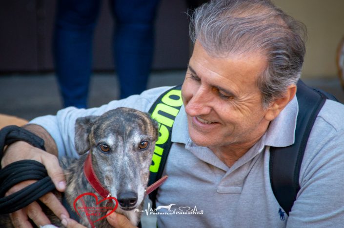 42675007_10214934388410751_5495046214372032512_o