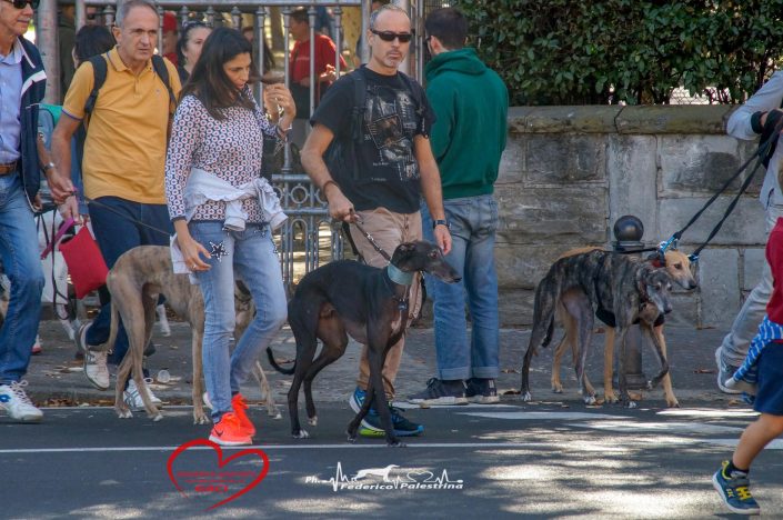 42840799_10214934412811361_4262795521346764800_o