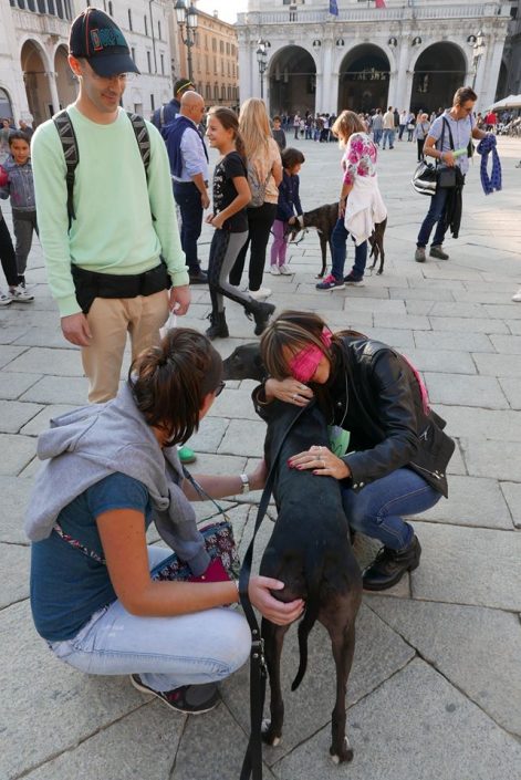 44117079_10218068711376440_6529766143068995584_n
